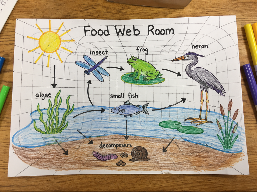 Food web room example