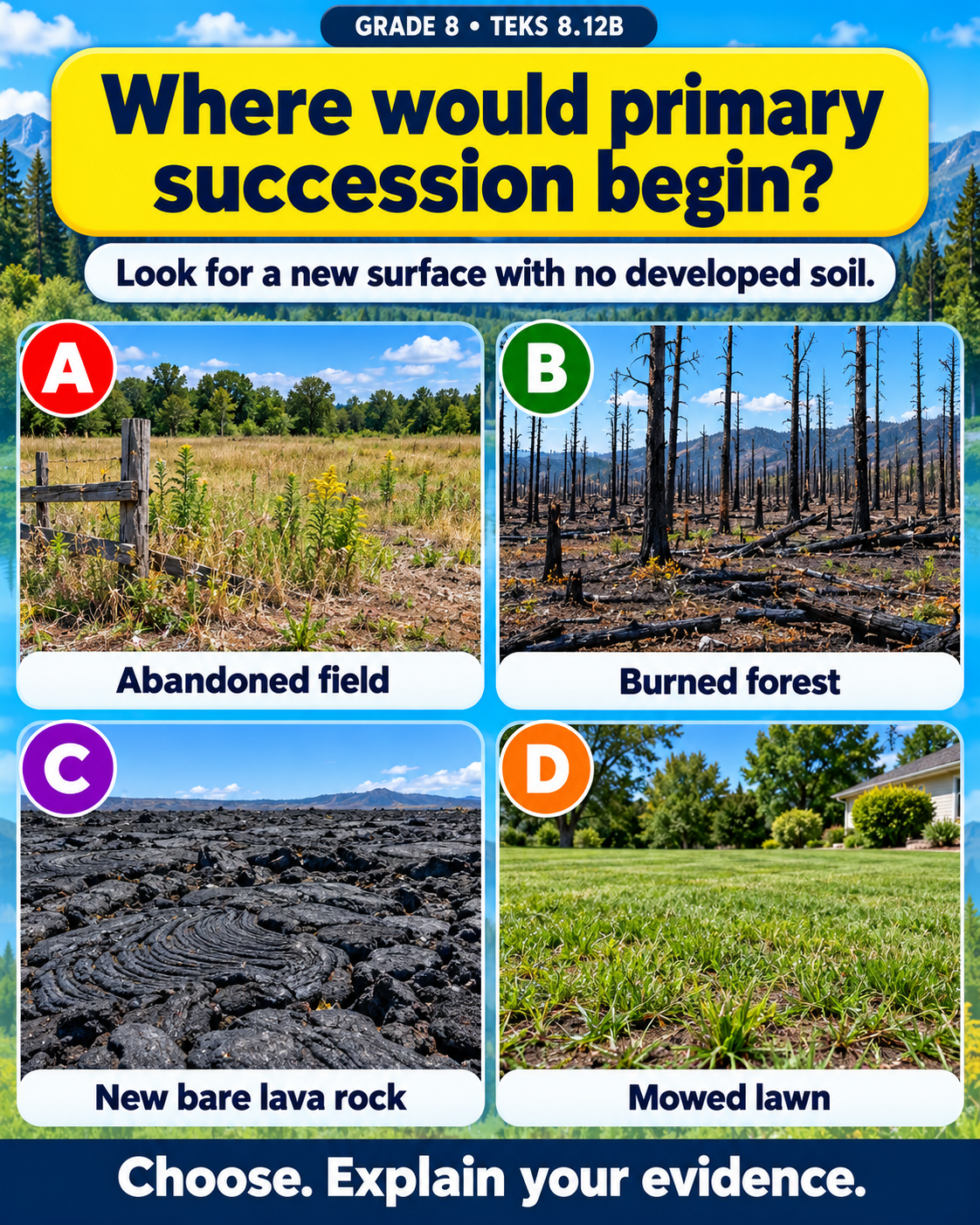 Primary succession challenge with four different landscapes.